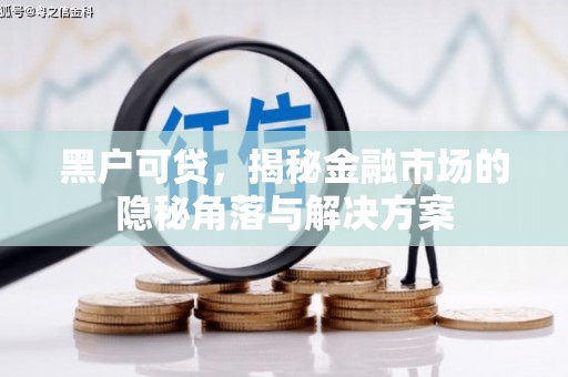 颍泉黑户可贷，揭秘金融市场的隐秘角落与解决方案