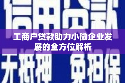 颍泉工商户贷款助力小微企业发展的全方位解析