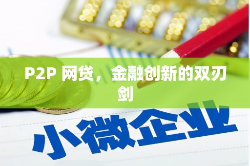 颍泉P2P 网贷，金融创新的双刃剑