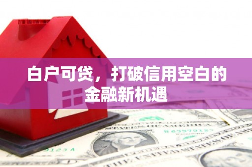 颍泉白户可贷，打破信用空白的金融新机遇