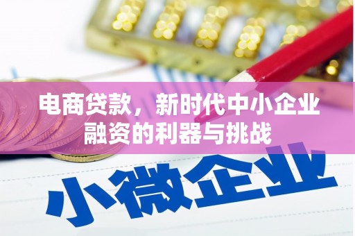 颍泉电商贷款，新时代中小企业融资的利器与挑战