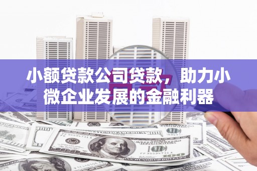颍泉小额贷款公司贷款，助力小微企业发展的金融利器