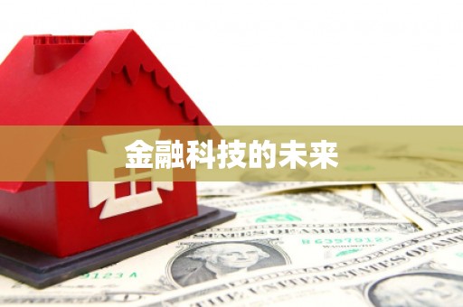 颍泉金融科技的未来