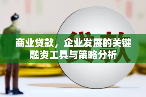 颍泉商业贷款，企业发展的关键融资工具与策略分析