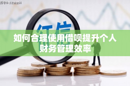颍泉如何合理使用借呗提升个人财务管理效率