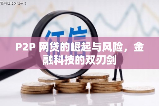 颍泉P2P 网贷的崛起与风险，金融科技的双刃剑