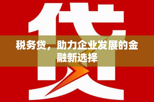 颍泉税务贷，助力企业发展的金融新选择