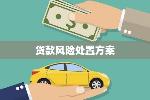 颍泉贷款风险处置方案