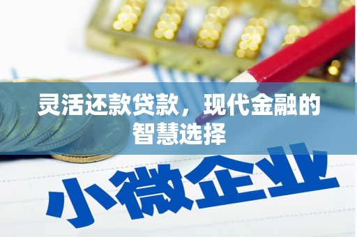 颍泉灵活还款贷款，现代金融的智慧选择