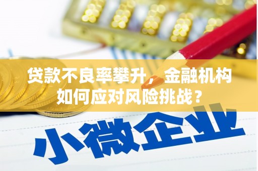 颍泉贷款不良率攀升，金融机构如何应对风险挑战？