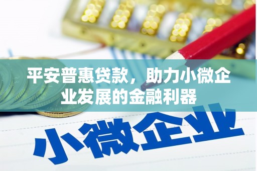 颍泉平安普惠贷款，助力小微企业发展的金融利器