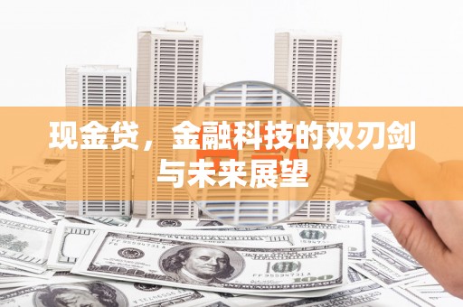 颍泉现金贷，金融科技的双刃剑与未来展望