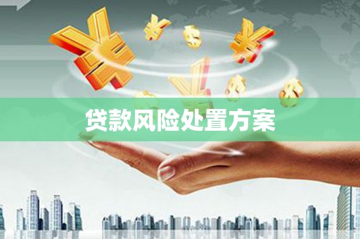 颍泉贷款风险处置方案