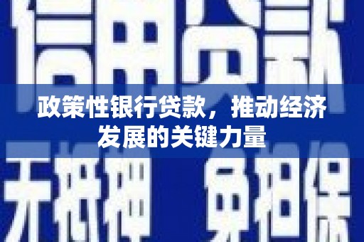 颍泉政策性银行贷款，推动经济发展的关键力量
