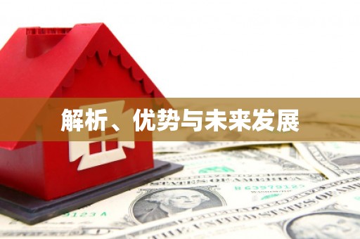 颍泉解析、优势与未来发展
