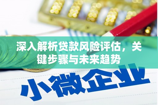 颍泉深入解析贷款风险评估，关键步骤与未来趋势