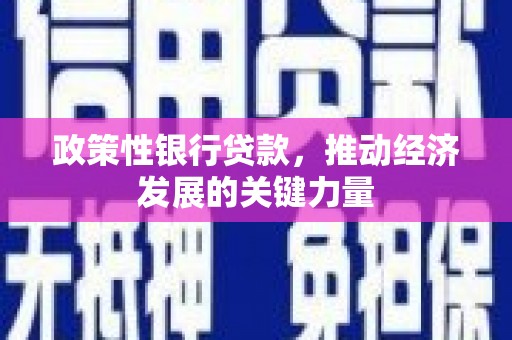 颍泉政策性银行贷款，推动经济发展的关键力量