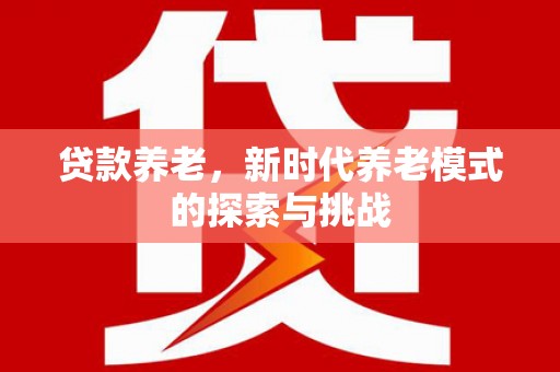 颍泉贷款养老，新时代养老模式的探索与挑战