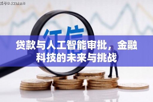 颍泉贷款与人工智能审批，金融科技的未来与挑战