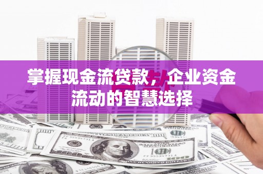 颍泉掌握现金流贷款，企业资金流动的智慧选择
