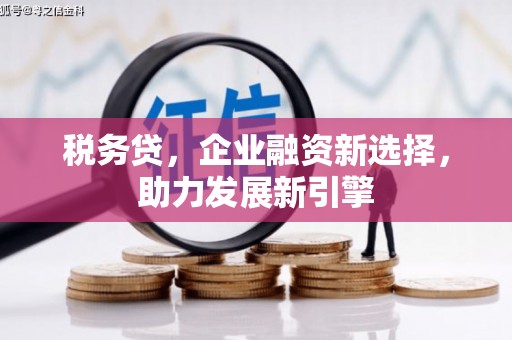 颍泉税务贷，企业融资新选择，助力发展新引擎