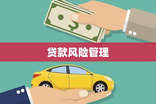颍泉贷款风险管理