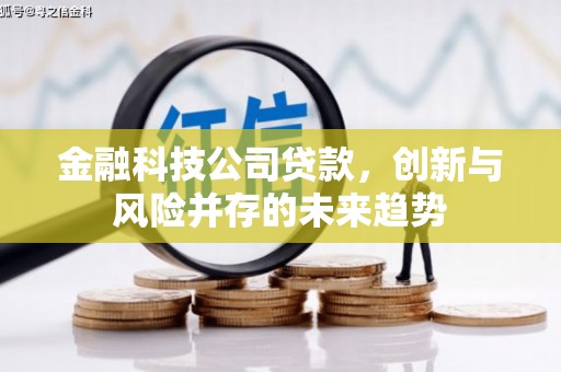 颍泉金融科技公司贷款，创新与风险并存的未来趋势