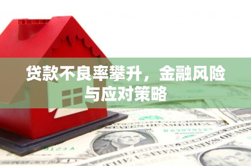 颍泉贷款不良率攀升，金融风险与应对策略