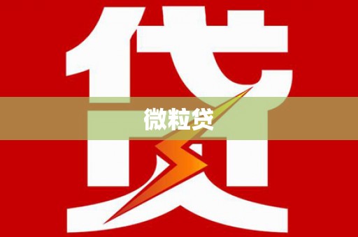 颍泉微粒贷