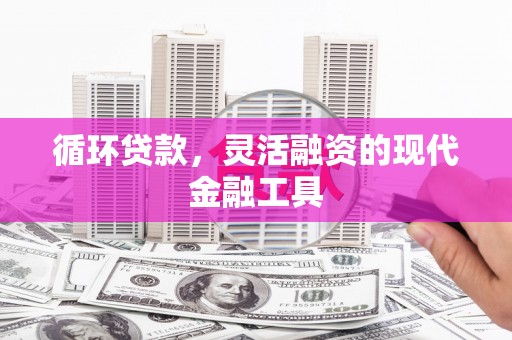 颍泉循环贷款，灵活融资的现代金融工具