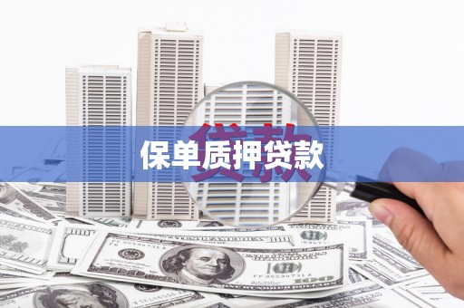 颍泉保单质押贷款