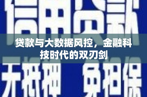 颍泉贷款与大数据风控，金融科技时代的双刃剑