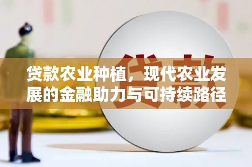 颍泉贷款农业种植，现代农业发展的金融助力与可持续路径