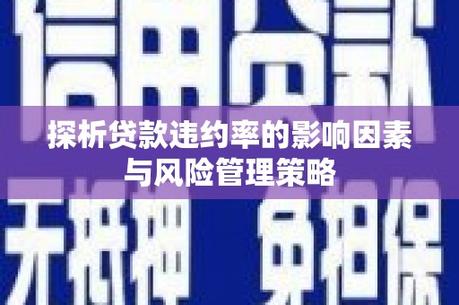 颍泉探析贷款违约率的影响因素与风险管理策略