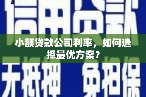颍泉小额贷款公司利率，如何选择最优方案？