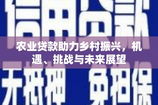 颍泉农业贷款助力乡村振兴，机遇、挑战与未来展望