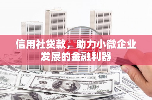 颍泉信用社贷款，助力小微企业发展的金融利器