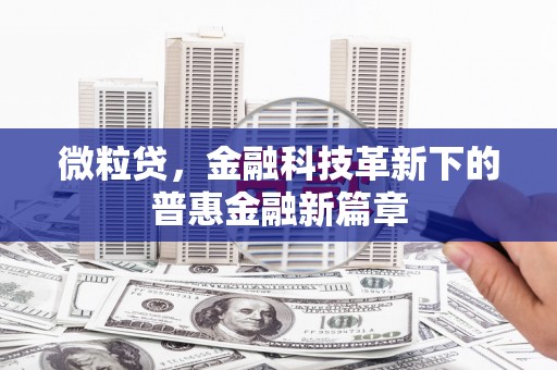 颍泉微粒贷，金融科技革新下的普惠金融新篇章