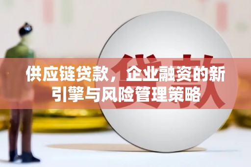 颍泉供应链贷款，企业融资的新引擎与风险管理策略