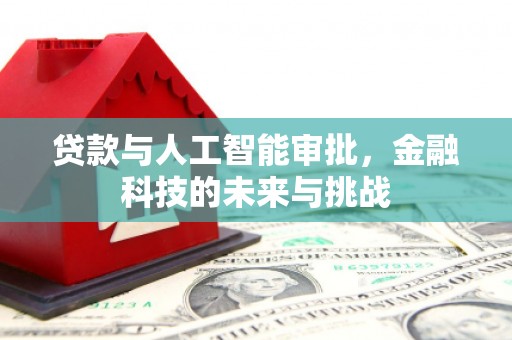 颍泉贷款与人工智能审批，金融科技的未来与挑战
