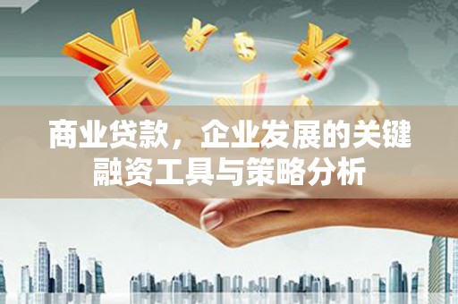 颍泉商业贷款，企业发展的关键融资工具与策略分析