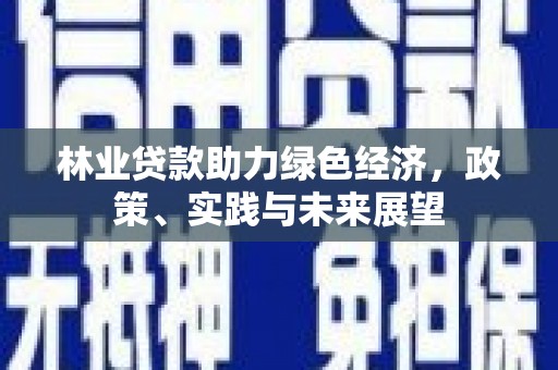 颍泉林业贷款助力绿色经济，政策、实践与未来展望