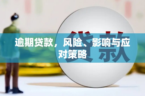 颍泉逾期贷款，风险、影响与应对策略