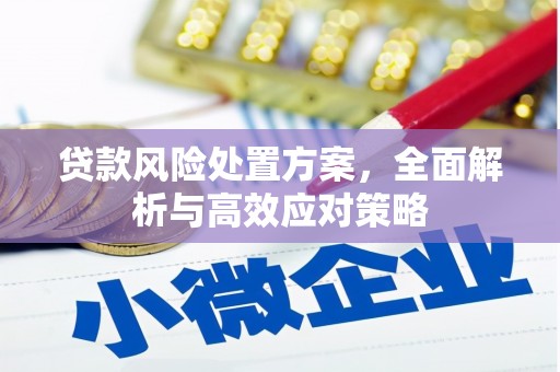 颍泉贷款风险处置方案，全面解析与高效应对策略