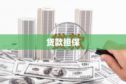 颍泉贷款担保