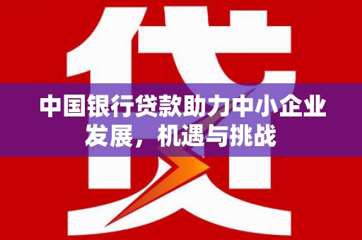 颍泉中国银行贷款助力中小企业发展，机遇与挑战