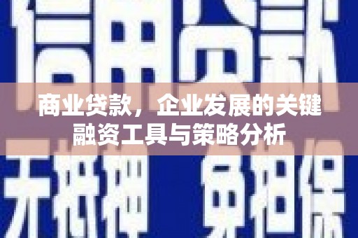 颍泉商业贷款，企业发展的关键融资工具与策略分析