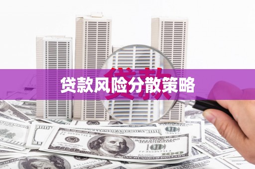 颍泉贷款风险分散策略