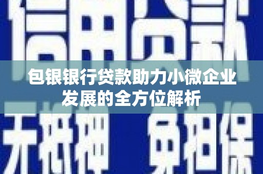 颍泉包银银行贷款助力小微企业发展的全方位解析