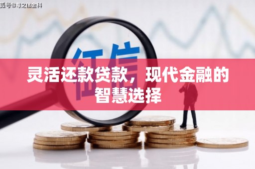 颍泉灵活还款贷款，现代金融的智慧选择